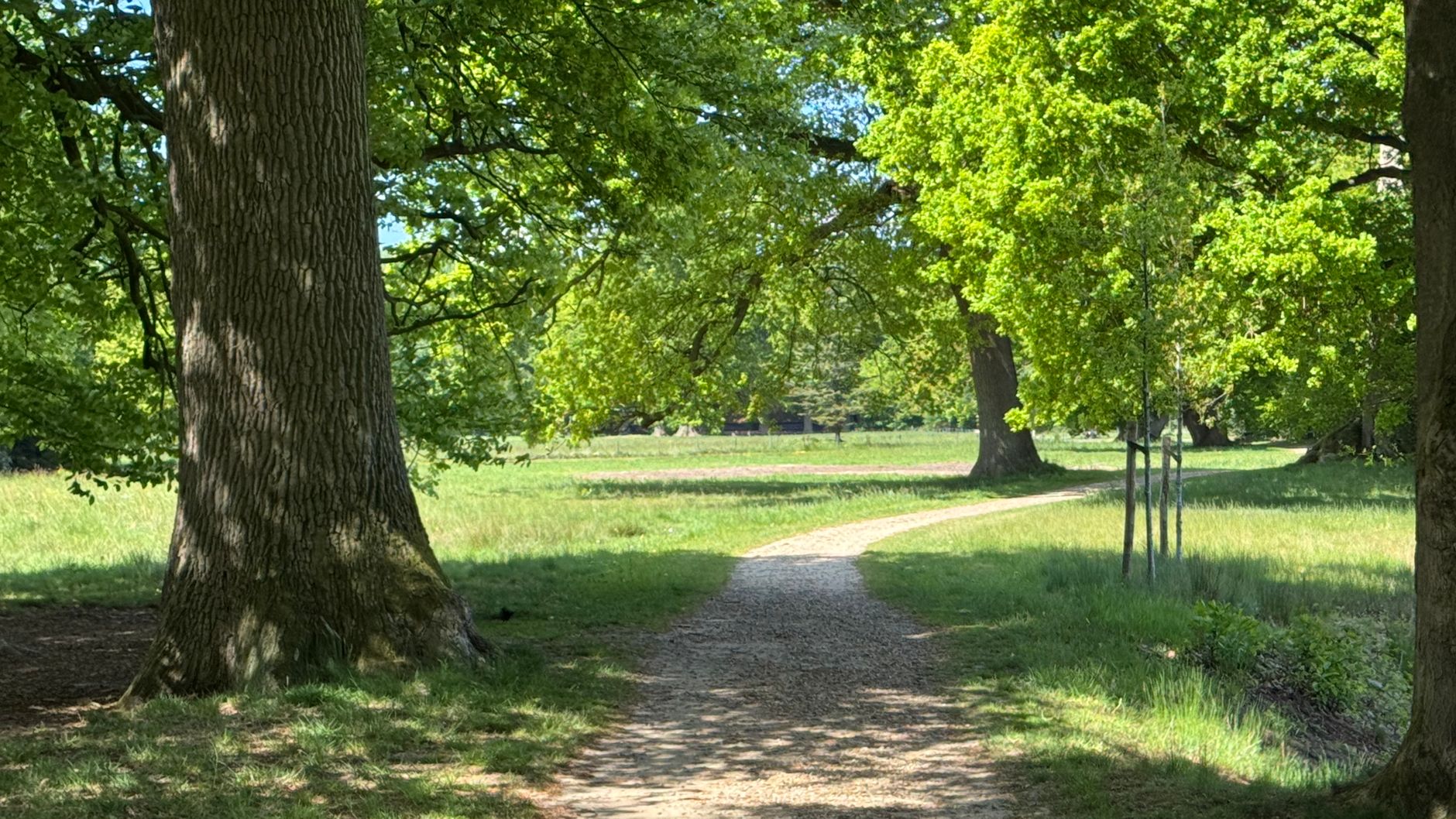 Lutte contre les nuisibles à Levallois-Perret